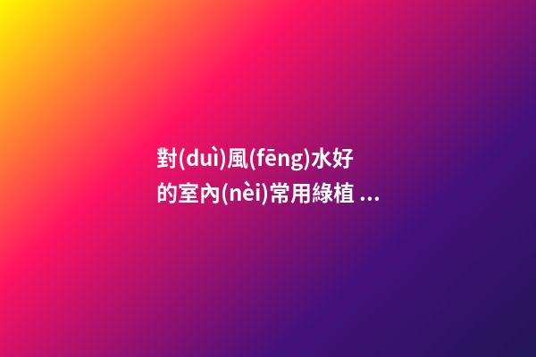 對(duì)風(fēng)水好的室內(nèi)常用綠植 什么植物在室內(nèi)生長很好